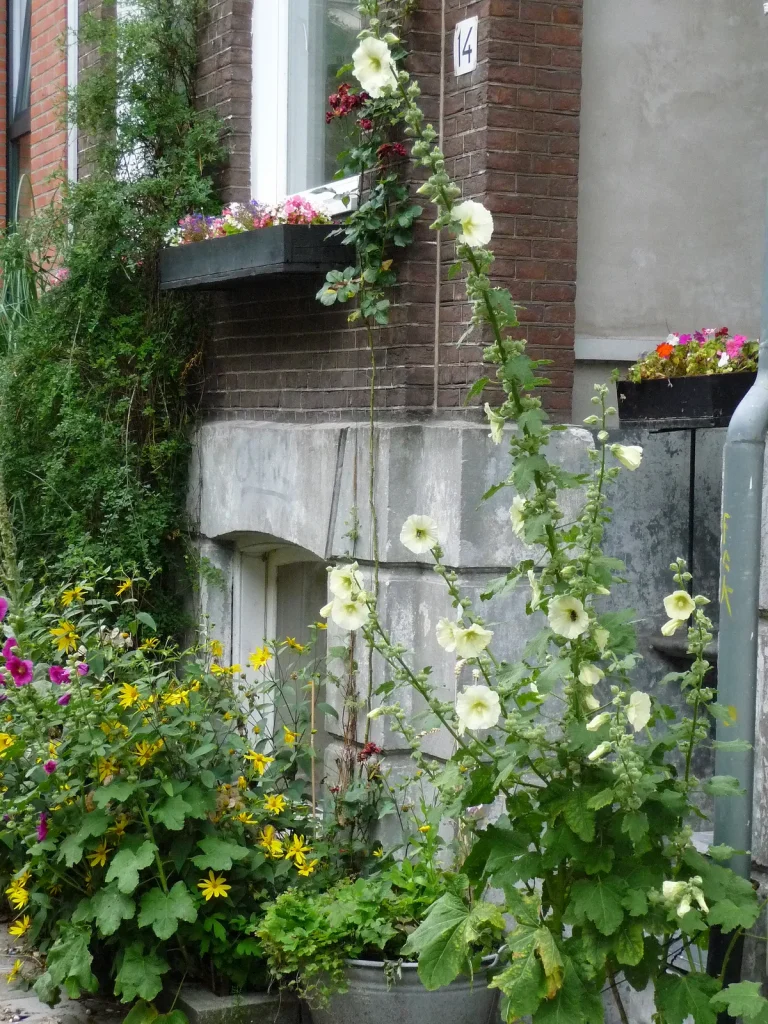 Typisch Nederlands woonhuis in Amsterdam met bakstenen gevel en voortuintje — woonverzekering opstal en inboedel