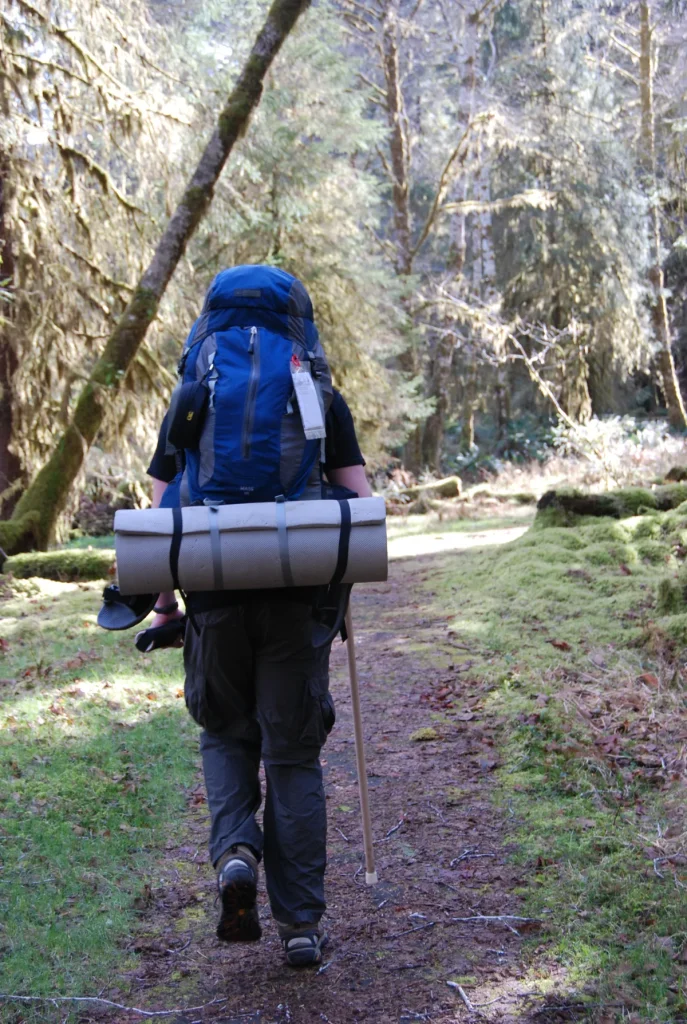 Backpacker met blauwe rugzak op bospad - backpack verzekering voor reizigers