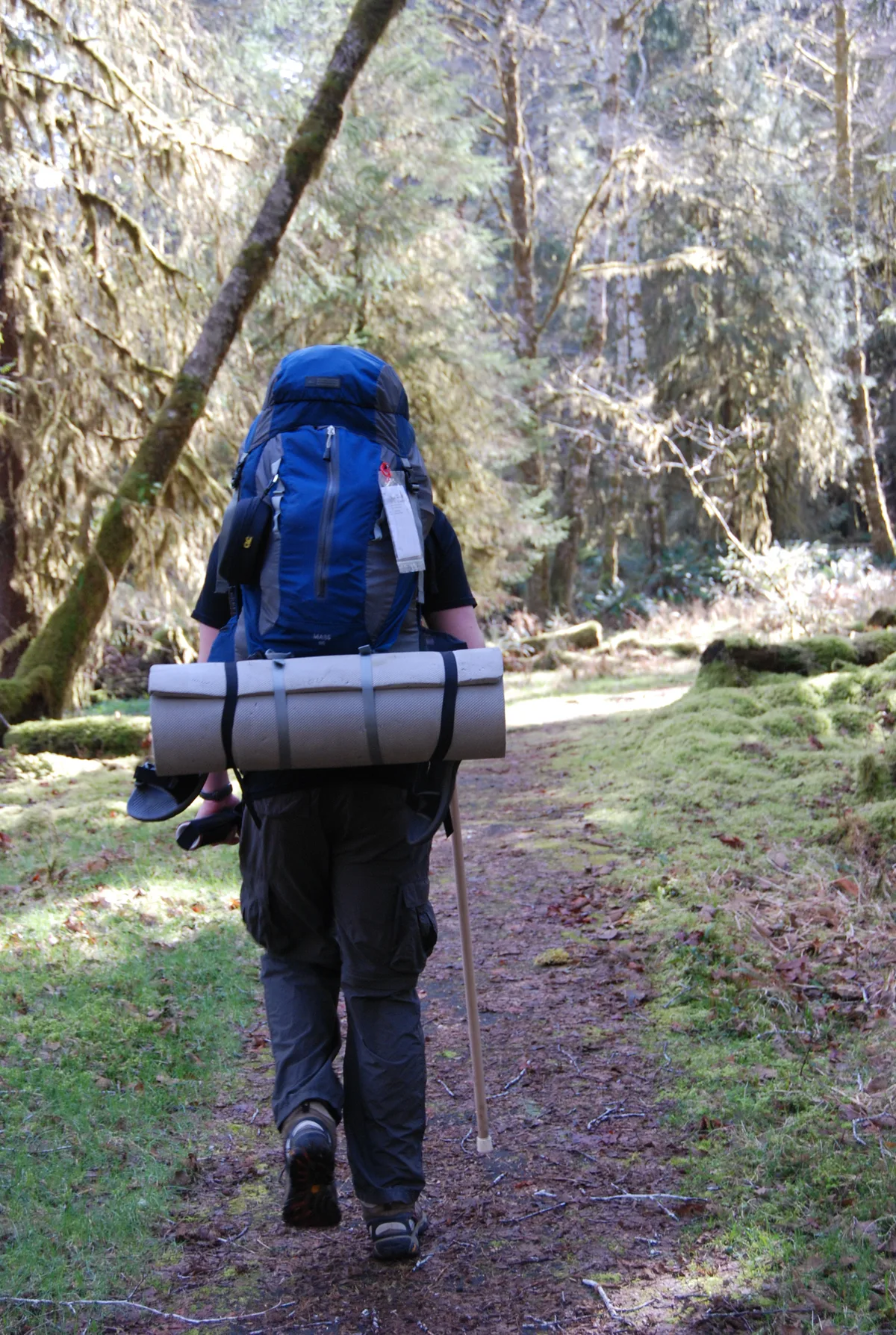 Backpacker met blauwe rugzak op bospad - backpack verzekering voor reizigers