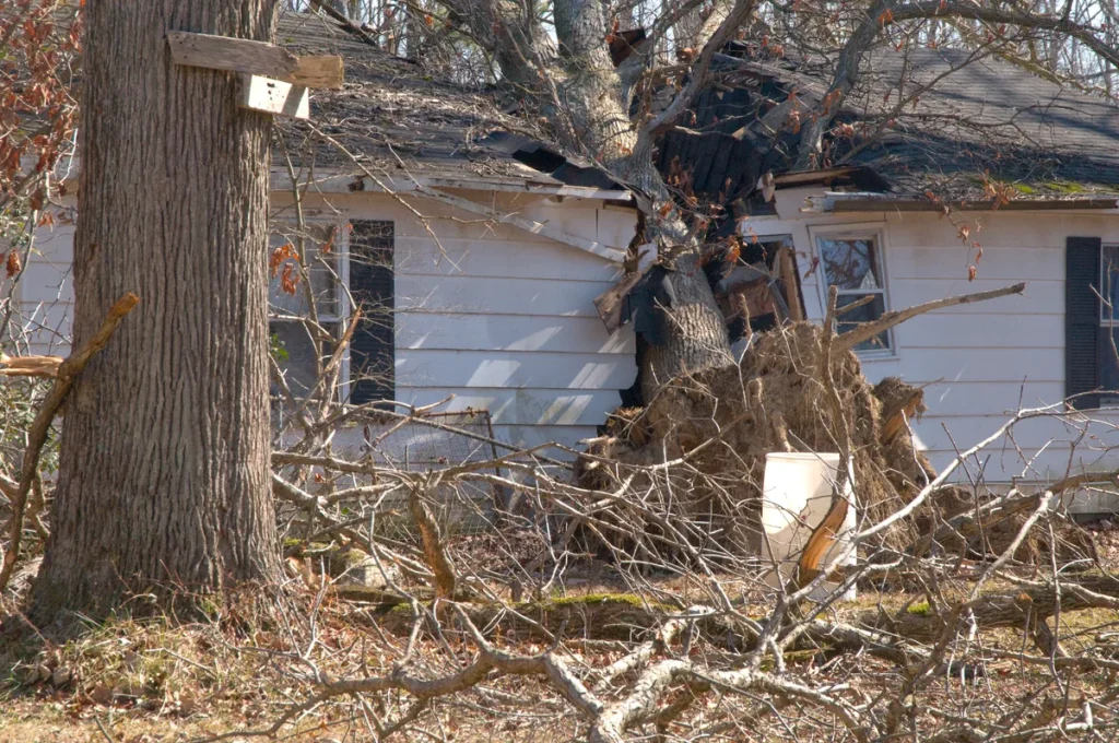 Boom gevallen op huis na storm — zware schade aan dak door omgevallen boom