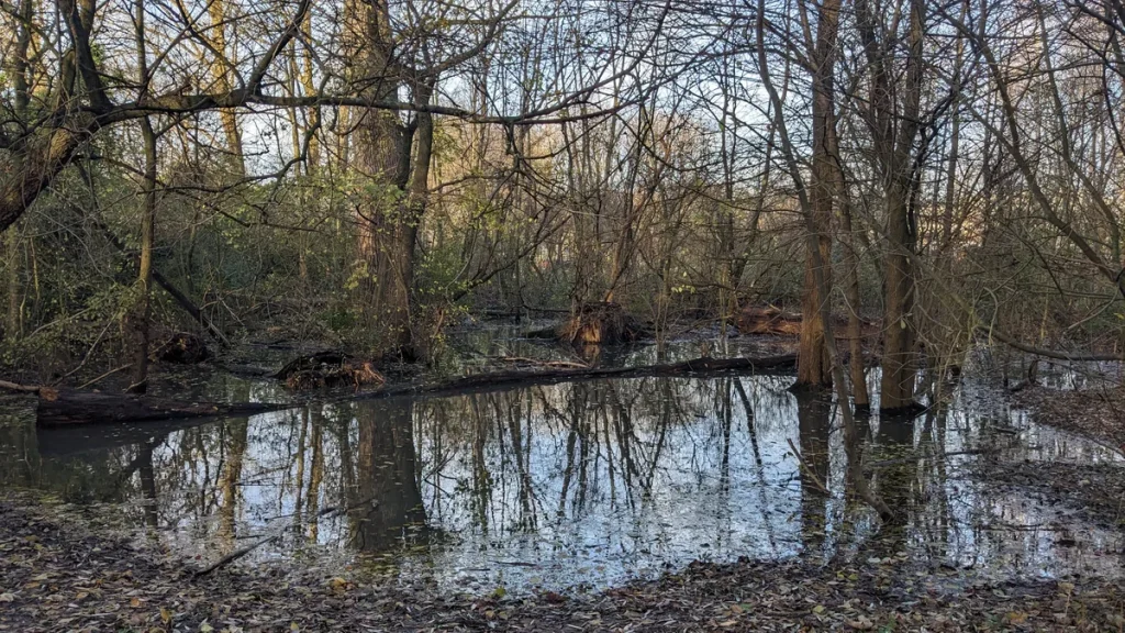 Overstroomd park in Hillegersberg Rotterdam na hevige regenval december 2023