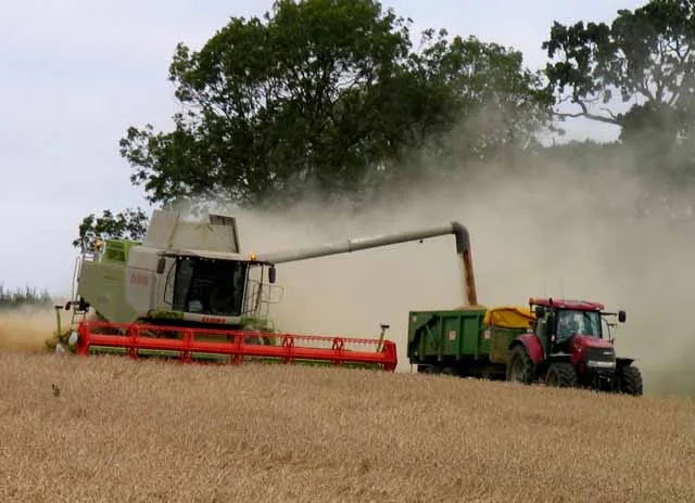 Maaidorser lost graan over op een wagen tijdens de oogst - landbouwvoertuig verzekering