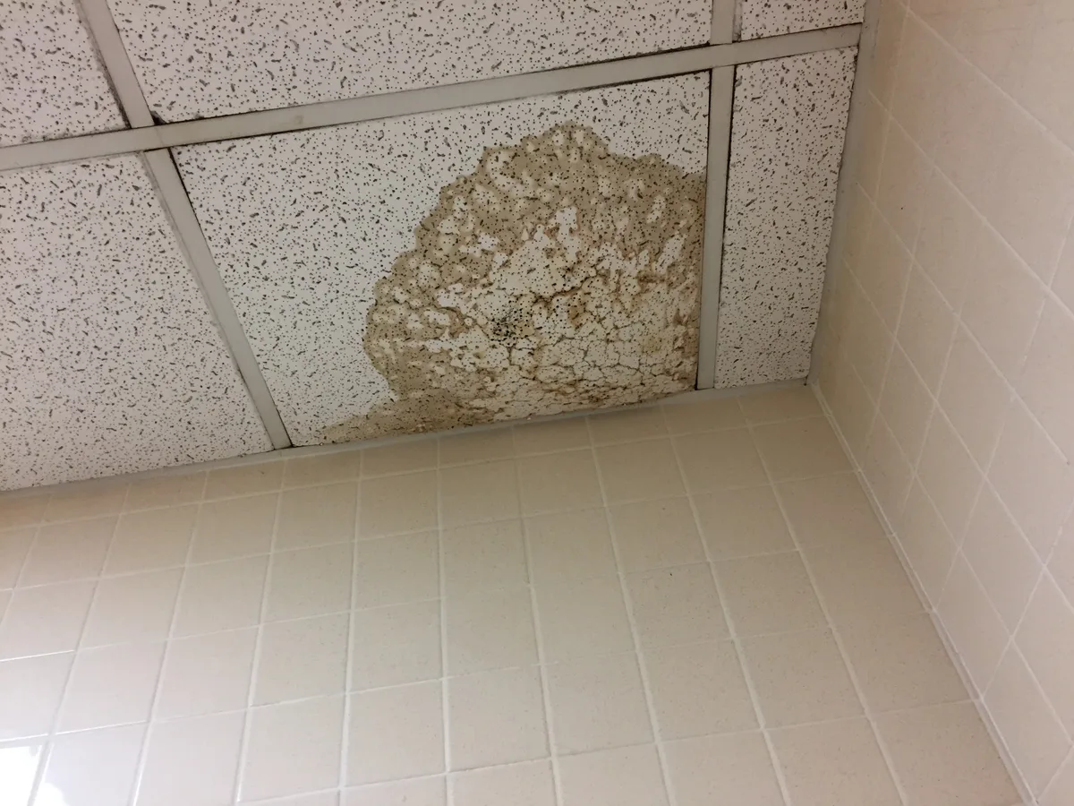 Plafondschade door lekkage van een gesprongen leiding - waterschade zichtbaar op plafond