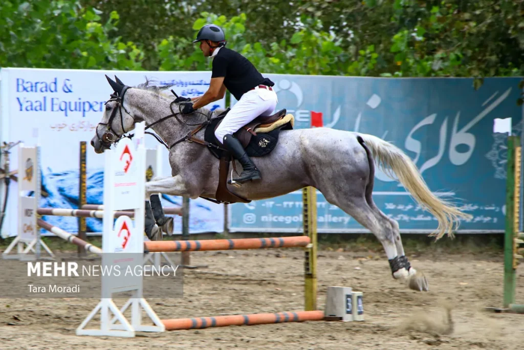 Ruiter op grijs springpaard springt over hindernis tijdens een paardensportwedstrijd