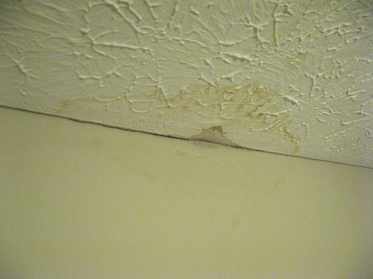 Waterschade aan plafond en muur van een woning — waterschade claimen bij inboedelverzekering studentenkamer