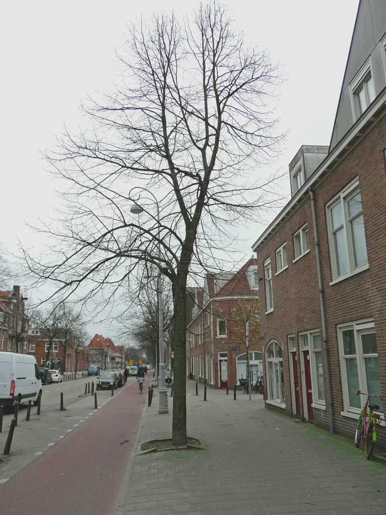 Typische Nederlandse woonstraat in Amsterdam-Oost met bakstenen rijtjeshuizen, voorbeeld van te verhuren woningen