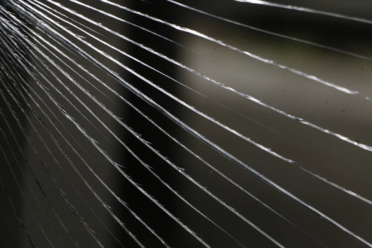 Gebroken ruit met spinnenweb van barsten in glas — glasschade waarvoor een glasverzekering uitkomst biedt