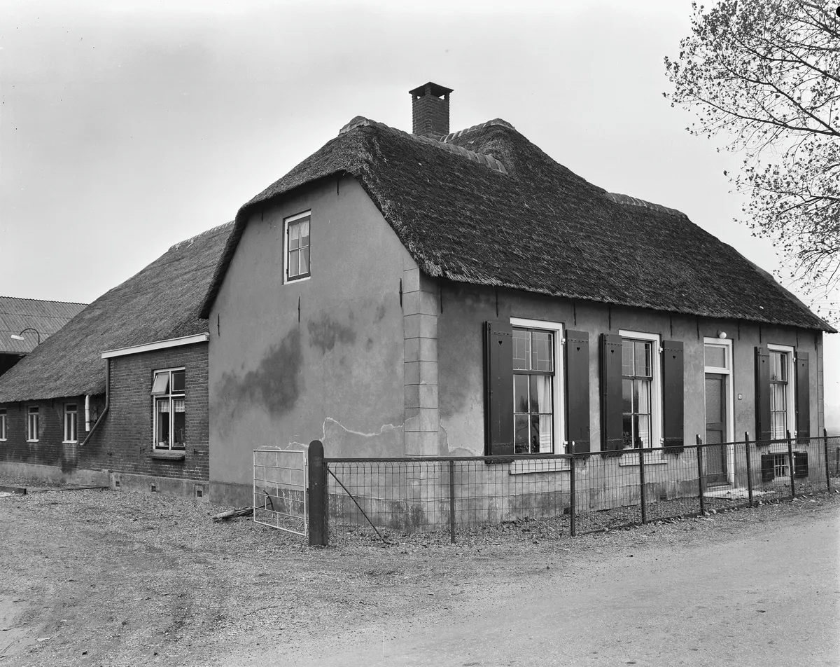 Rietgedekte boerderij in Langbroek, Nederland - overzichtsfoto van een typisch Nederlandse woonboerderij met rieten dak
