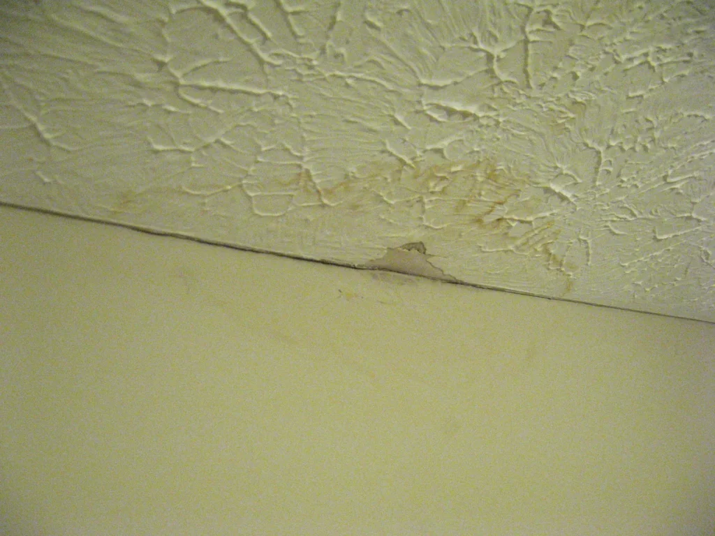 Waterschade aan het plafond van een woning door lekkage van buren — typisch geval van schade door derden