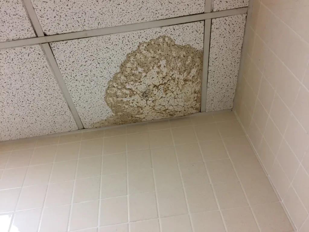 Waterschade aan plafond veroorzaakt door een lekkende waterleiding — waterlek verzekering