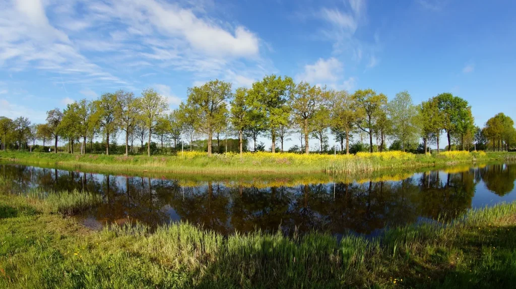Landschap in Hoogeveen Drenthe met kanaal en bomen, regio waar Weitenberg Assurantien actief is als onafhankelijk advieskantoor
